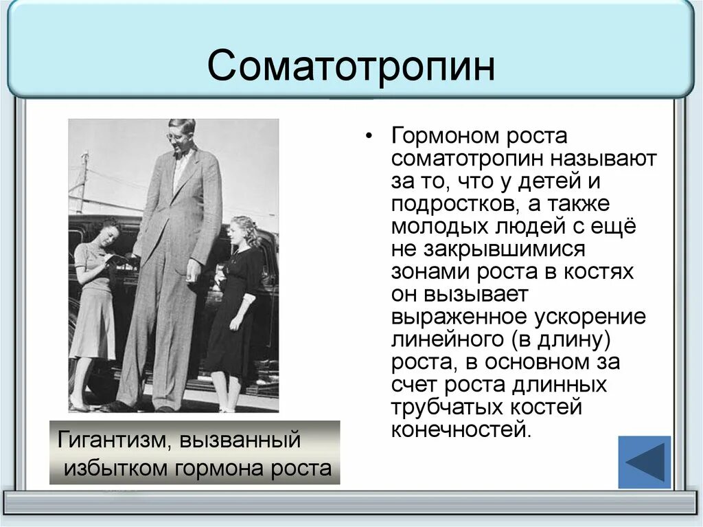 Соматотропин можно. Гормон роста. Соматотропин. Гормон роста соматропин. Гормон роста название.