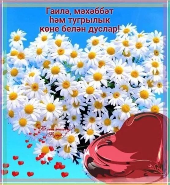 С днем семьи открытки на татарском языке. 15 мая гаилэ коне открытка. Стикеры на татарском языке. С днем семьи на татарском языке картинки. С днём семьи на башкирском языке.