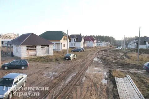 Зарица