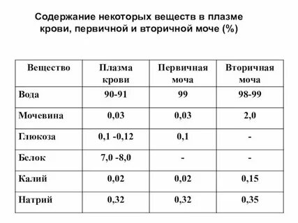 Первичная моча отличается от плазмы