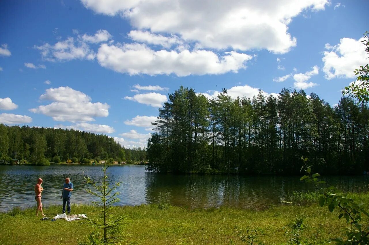 Озеро круглое ленинградская область. Озеро круглое ленинградская область