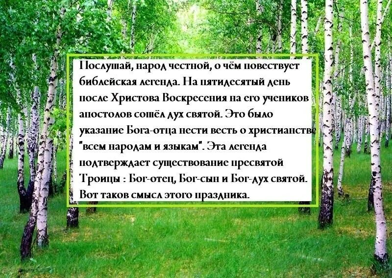 семик и троица на руси. троица праздник завивание березки. мероприятия на троицу. троица березка. мастер класс на троицу для детей.