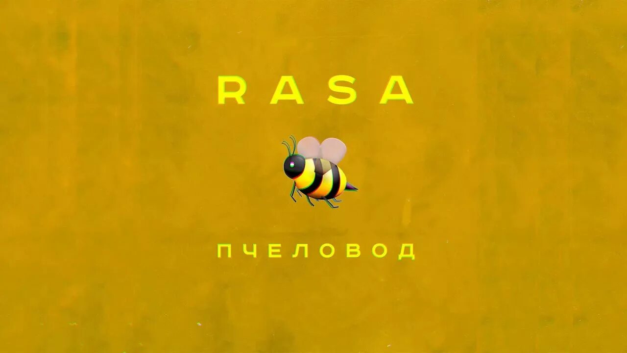 Пчела и пчеловод песня слушать. Rasa пчеловод. ты пчела ты пчеловод. пчела я пчеловод rasa. пчеловод песня.