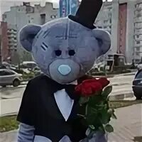 Тедди пермь. Пермский плюшевый. мишка тедди пермь аниматор.