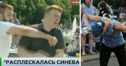 Жара синева мушиная музыка