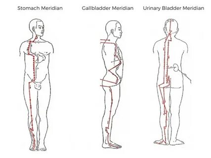Urinary meridian