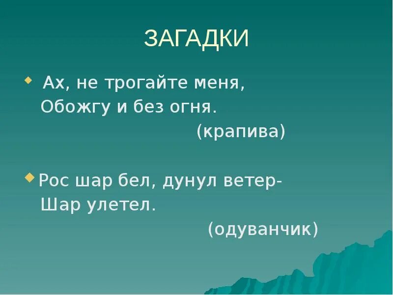 Что находится между городом и селом загадка. Загадка рос шар бел дунул ветер. загадка про одуванчик рос шар бел дунул. рос шар бел дунул шар загадка. загадка ах не трогайте меня обожгу и без огня.