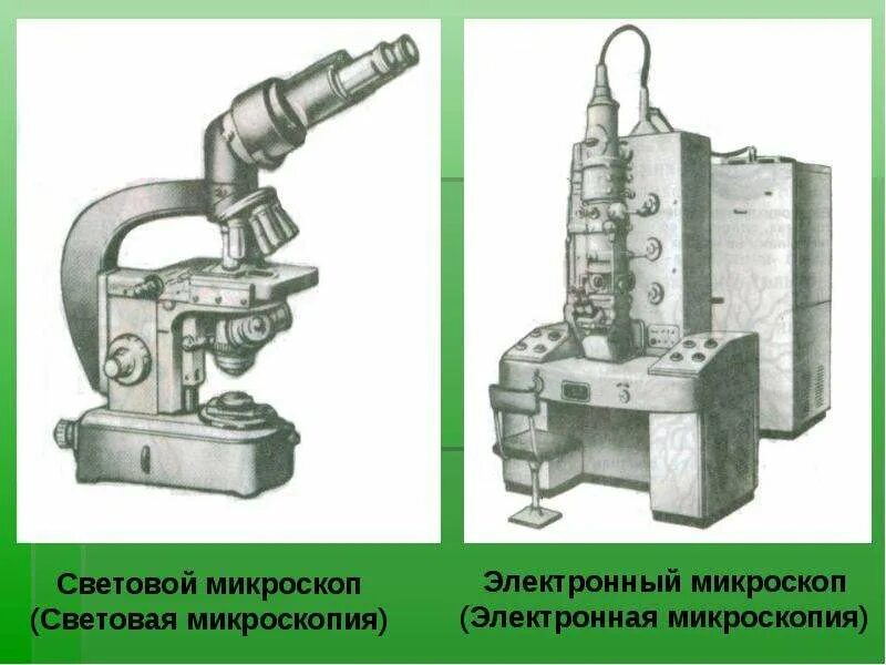 С помощью световой микроскопии. Световой и электронный микроскоп. световая и электронная микроскопия. световой микроскоп. электронный микроскоп и световой микроскоп.
