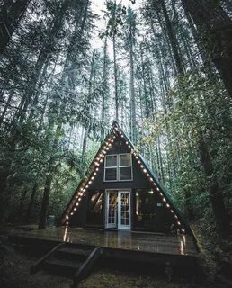 Forest home санкт петербург