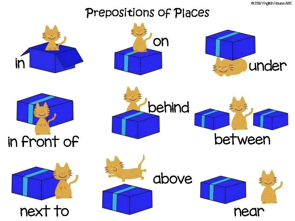 Next to near behind. Предлоги английский on in next to under. prepositions of place предлоги места. prepositions of place английский. предлоги в английском языке для детей.