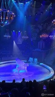 Цирк на цветном матрешка