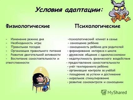 Физиологическая и психологическая адаптация