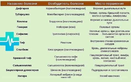 Возбудители инфекции таблица. Типы заболевании бактериями. возбудители бактериальных инфекций таблица. назовите тип заболевания вызванные бактериями. бактериальные заболевания человека список бактерии возбудители.