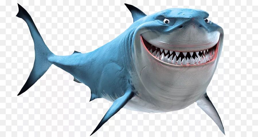 Акула с якорем. Якорь shark. Якорь shark. Якорь shark. Шарк анчор.