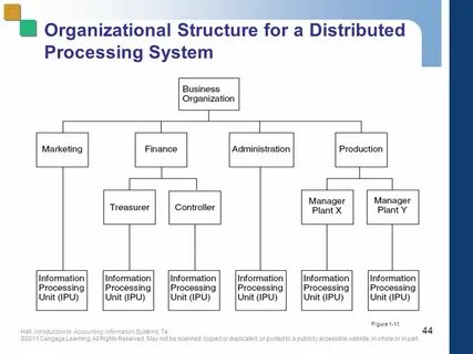 The organization's