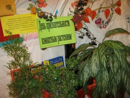 Благодарность комнатным растениям