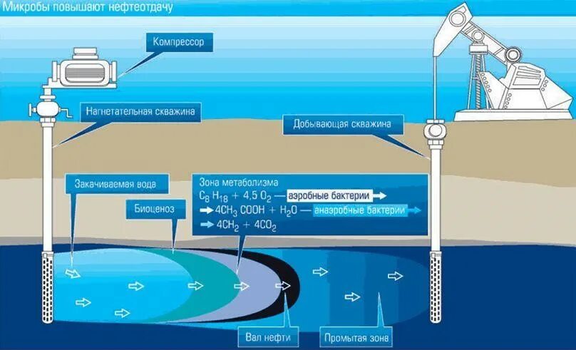 Микробиологические методы увеличения нефтеотдачи пластов. Закачка воды в пласт. Микробиологическое воздействие на пласт. Методы воздействия на нефтяные пласты