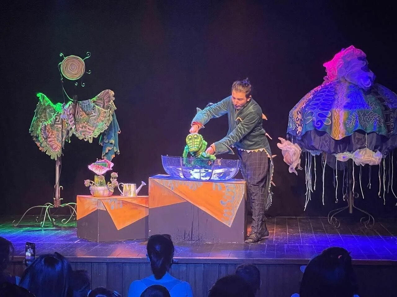 Крокодил души моей спектакль. Крокодил души моей спектакль санкт-петербург. Крокодил в театре. Крокодил зазеркалье спектакль. Спектакль крокодил зазеркалье детский.