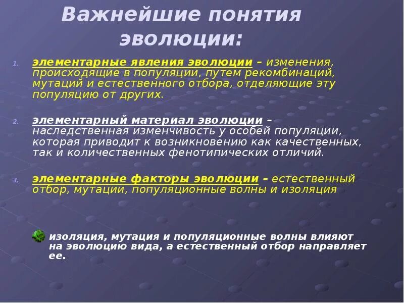 Современные представления об эволюции. Современные представления об эволюции