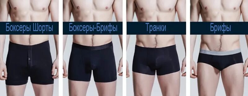 Разница между стоит и стоит. Боксеры брифы транки. трусы брифы и боксеры отличия. трусы боксеры и брифы разница. виды трусов brief.