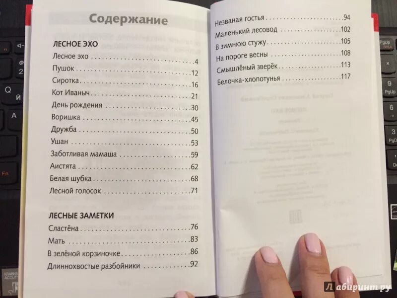 Числа эхо. Числа эхо