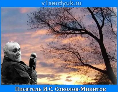 Писатель сокол