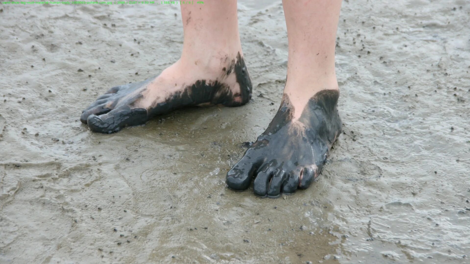 Грязными ходят ногами. Босые ноги. Грязными ходят ногами. Грязными ходят ногами. Грязными ходят ногами.