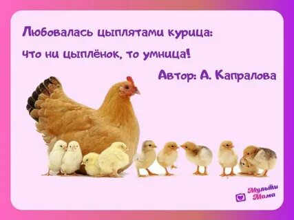 Ах какая умница курица была