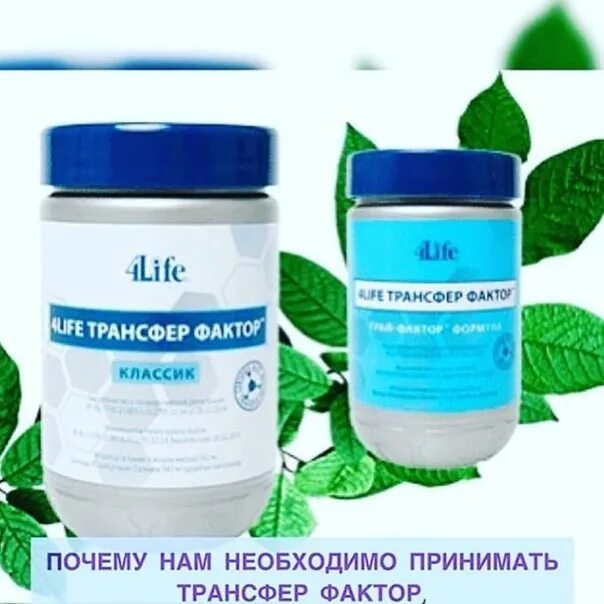 4life трансфер фактор Трай фактор. 4life трансфер фактор Классик. Трансфер фактор Трай фактор формула. Трансфер фактор Классик для детей.