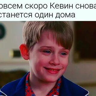 Снова дома читать