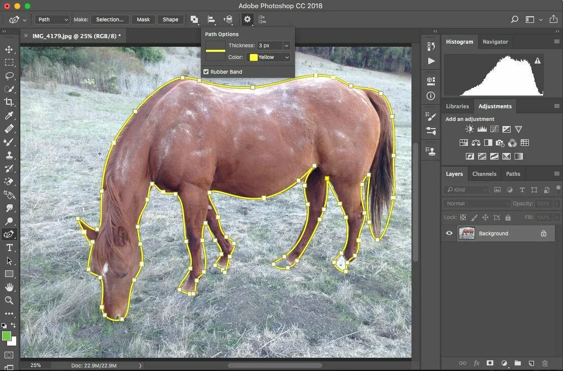 Photoshop generative. Adobe photoshop 2018. фотошоп версия 2018. адоб фотошоп 2018. фотошоп сс 2018.