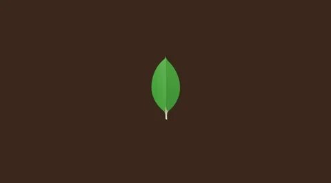 Mongodb ubuntu