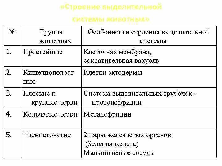 Биология 9 класс органы выделения. Таблица по биологии 6 класс выделительная система. Выделительная система таблица 7 класс биология. Органы выделения таблица. Выделительная система животных таблица.