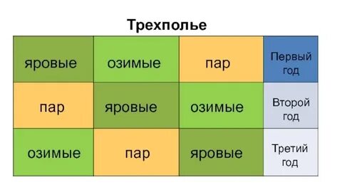 Что такое трехполье