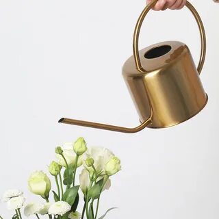Лейка нержавеющая сталь