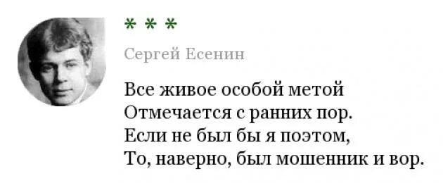 есенин все живое особой метой. всё живое особой метой есенин текст. амлинский тучи над городом встали. живая особа. всё живое особой метой.