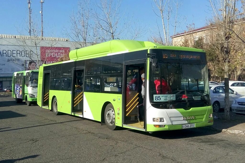 Man автобус ташкент. Автобус ташкент. Новые автобусы в узбекистане. Автобусные парки ташкента. Tashkent buses 131 yutong гармошка.