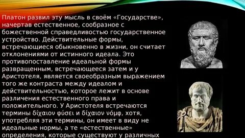 Платон принципы