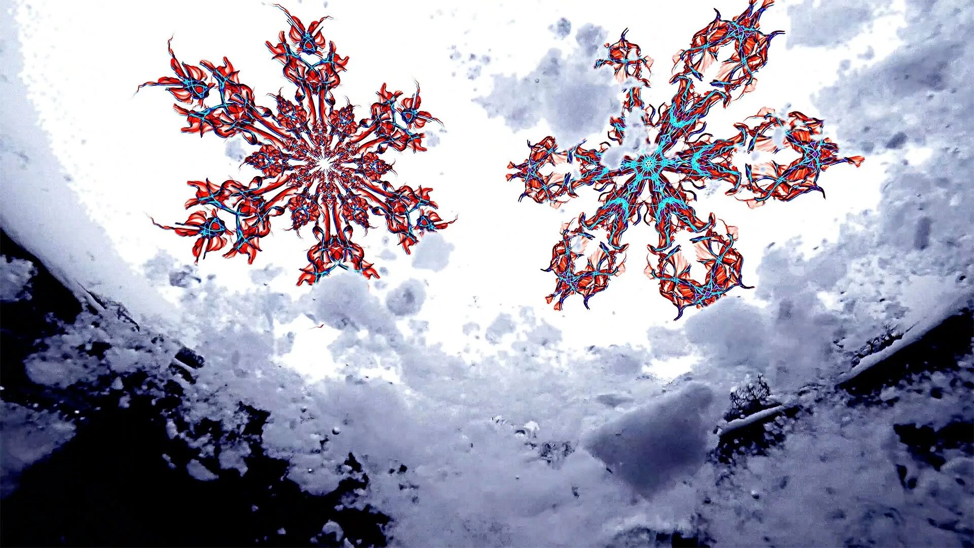 сочинение про снежинку. говорят снежинки. веселые снежинки. снежинка открытка. красивые предложения про снежинки.