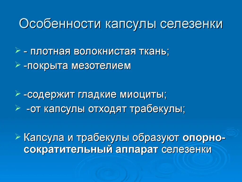 У подростка увеличена селезенка. Особенность капсулы селезенки. Особенности селезенки у детей. Возрастные особенности селезенки.