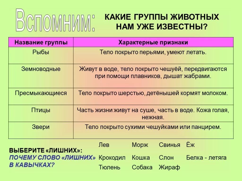 В какой группе как она называется. Какие группы животных. Названия групп животных. Признаки групп животных. Характерные признаки групп животных.