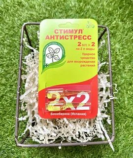 Стимул 2