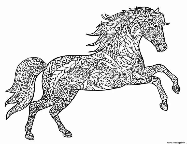 Free Printable Horse Coloring Pages For Kids Horse coloring pages, Horse colorin