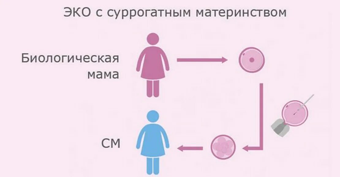 Суррогатное материнство яйцеклетка. Правовые проблемы суррогатного материнства. Суть суррогатного материнства. Этические проблемы суррогатного материнства. Суррогатная мать это как.