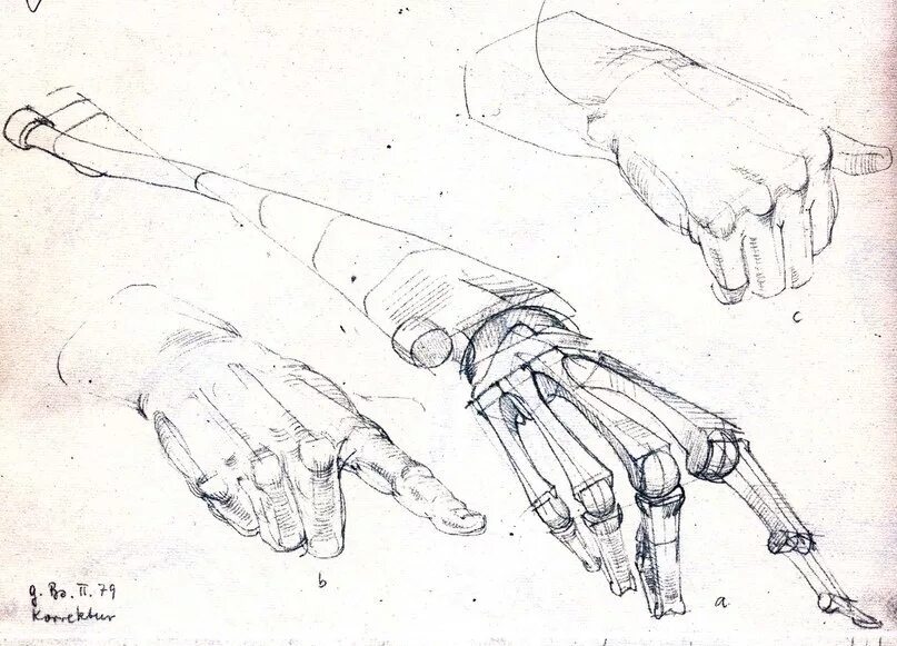 Готфрид Баммес руки. Кости кисти руки Баммес. Анатомия Баммес кисти рук. Баммес анатомия кости руки. Развело кисть руки
