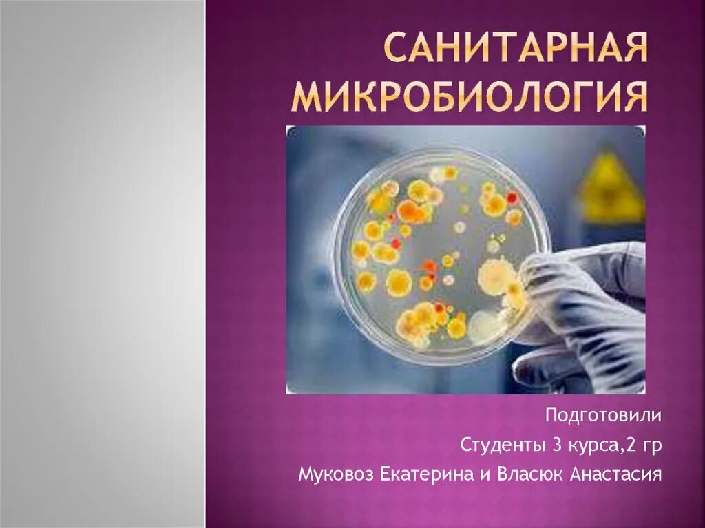 Название конференции по инфекции. Кафедра микробиологии кгму. Нии микробиологии киров. Основы медицинской микробиологии. Программа конференции по микробиологии.