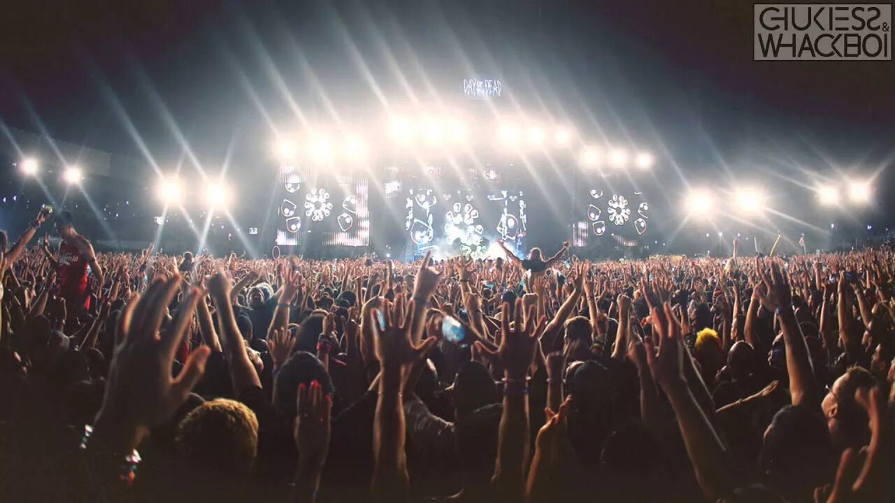 Go on a concert