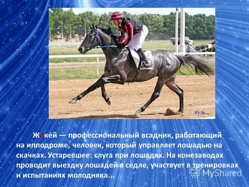 мужчина управляет лошадьми. боевой конь фильм 2011. управлять лошадью. человек который управляет лошадьми. мужчина верхом на лошади.