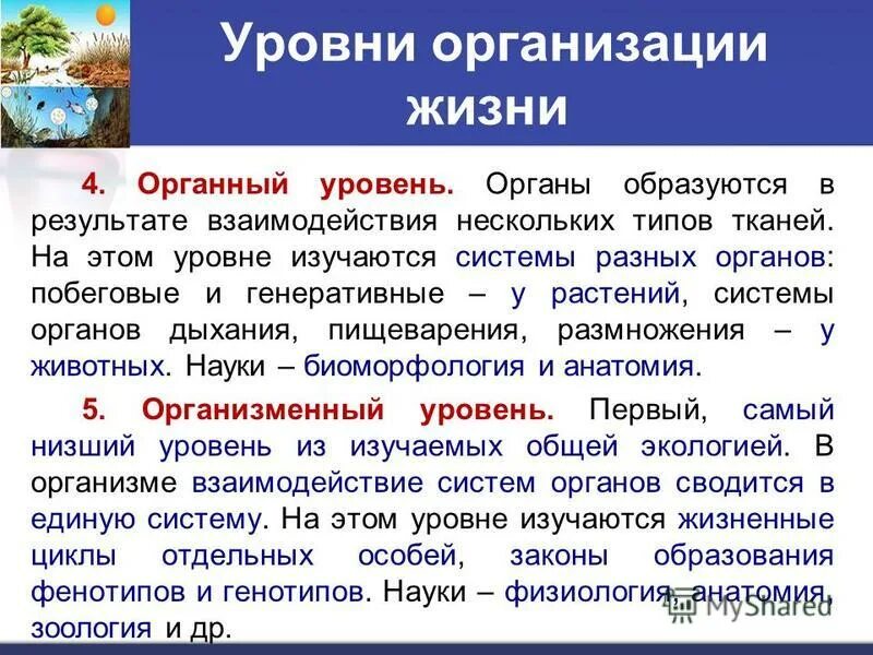 Органный уровень организации