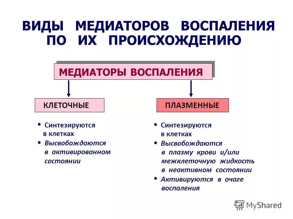 механизмы развития воспаления патанатомия. механизмы развития хронического воспаления патофизиология. стадии воспаления патофизиология. механизм первичной альтерации при воспалении. пльтераци эксудация пролифераци.